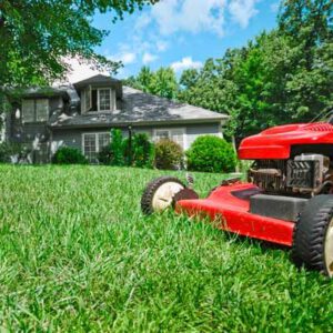 lawn service